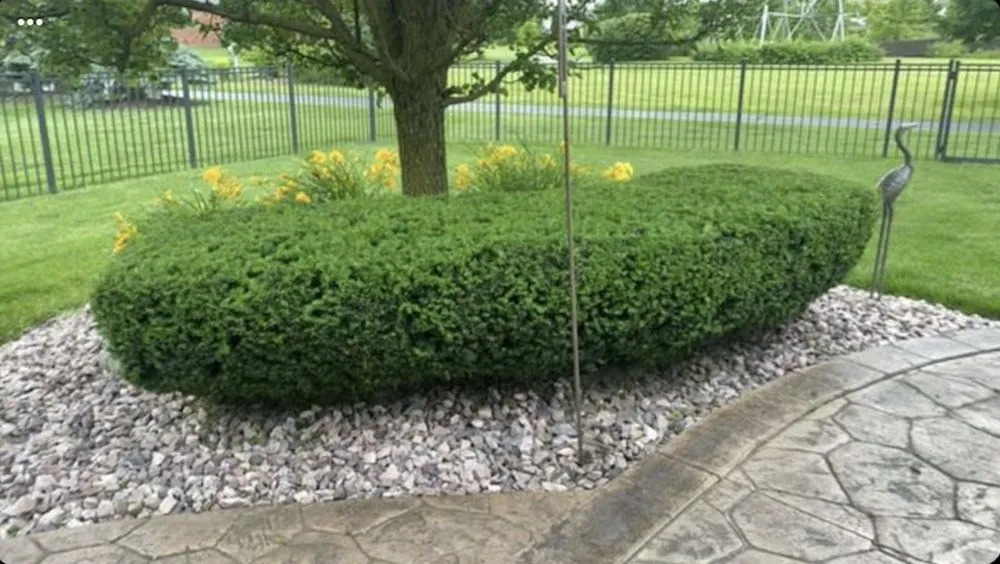 Trusted landscaping services with custom design across Harrison Township, MI - Living Green