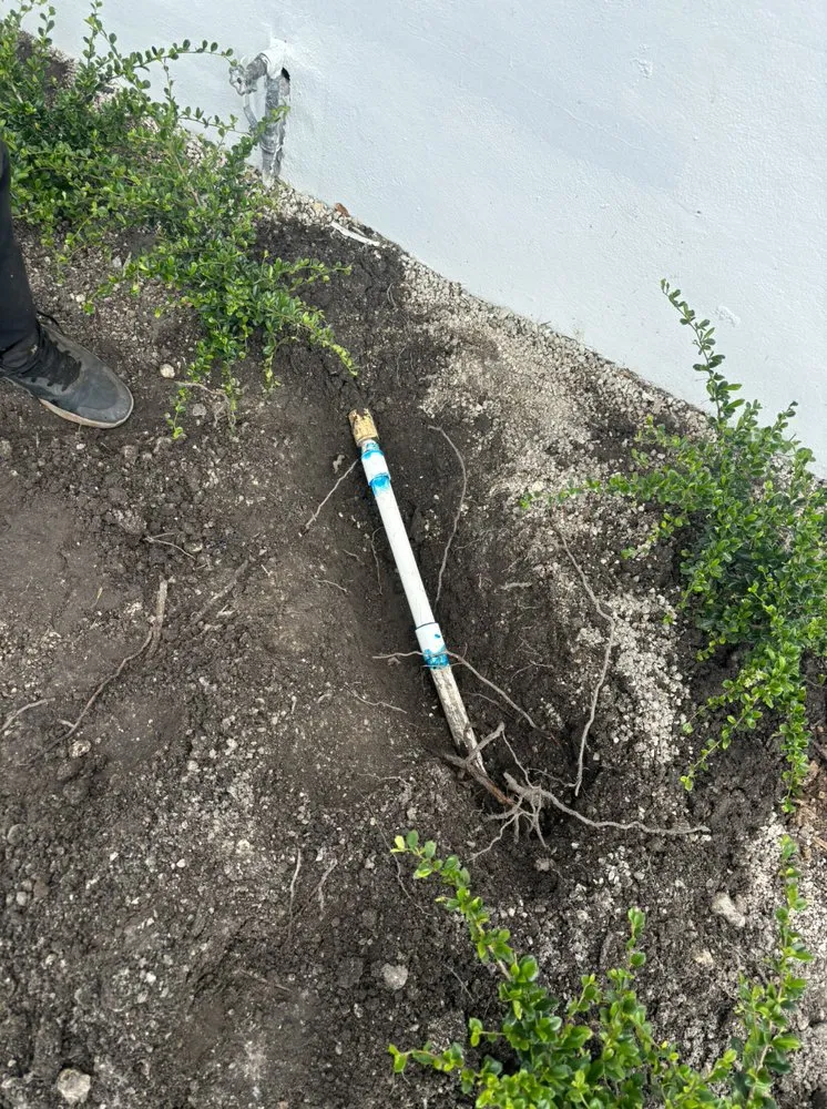 Top-rated lawn care service in Miami, FL by Living Green Landscaping