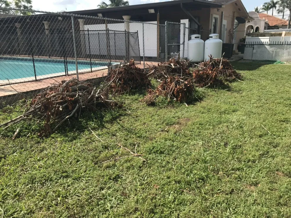 Local lawn care service for homes across Miami, FL - Living Green Landscaping