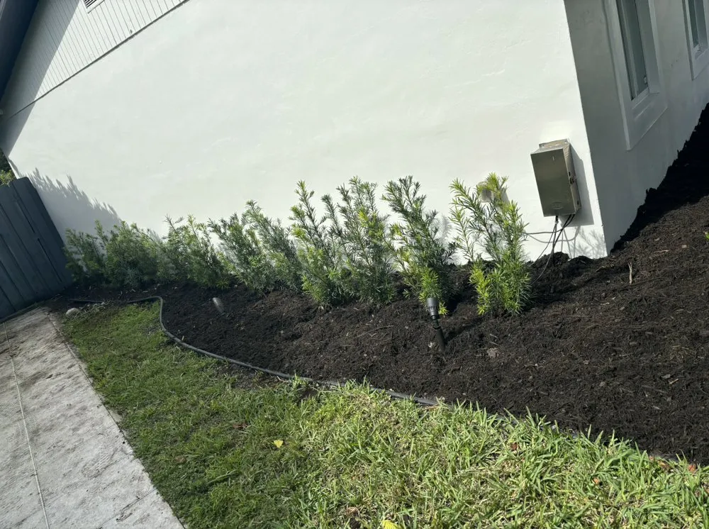 Top-rated lawn care service for beautiful yards in Miami, FL by Living Green Landscaping