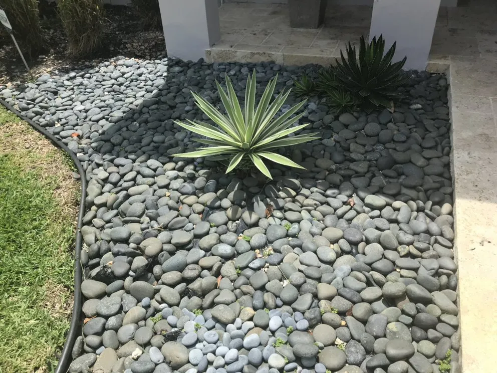 Trusted landscape design in Miami, FL - Living Green Landscaping