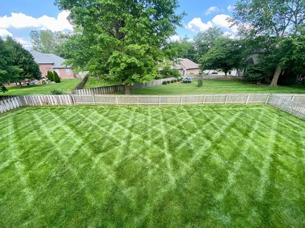 Trusted landscape design in Springfield, MO by Living Green Lawn Care