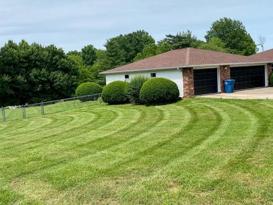 Local yard maintenance in Springfield, MO - Living Green Lawn Care