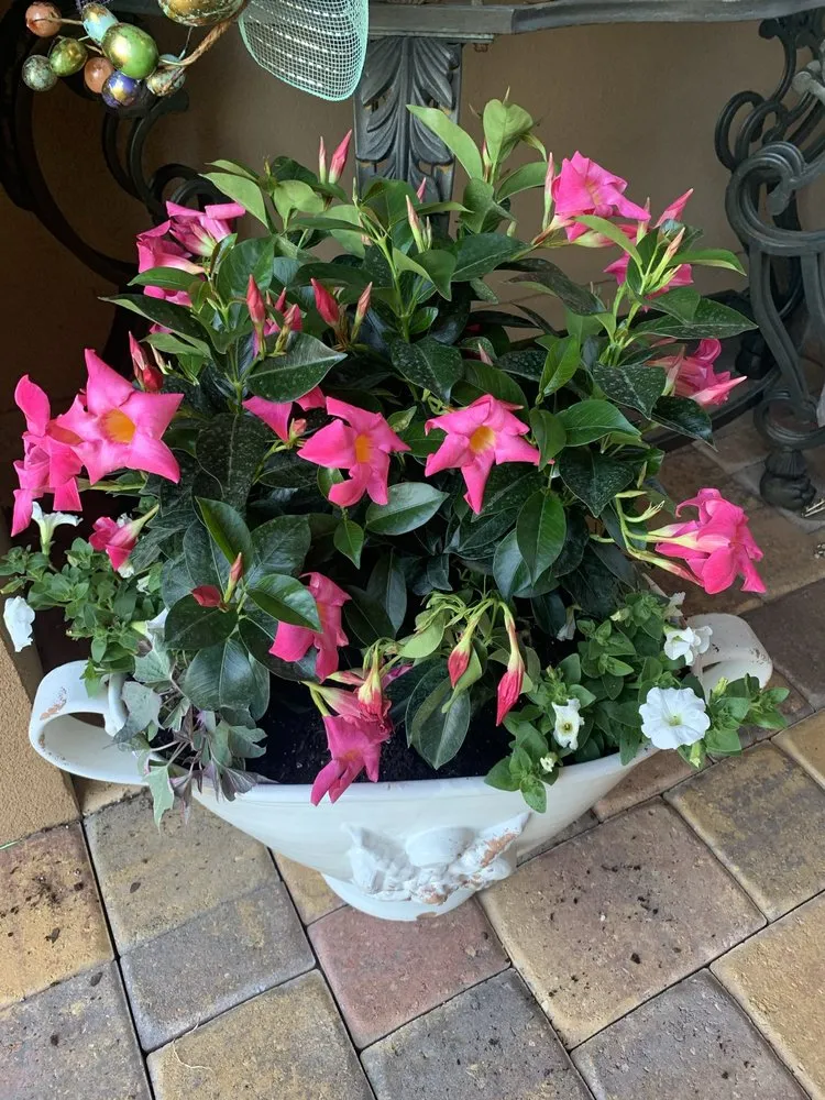 Top-rated residential landscaping experts serving Lynn Haven, FL - Living Interiors Of Bay County