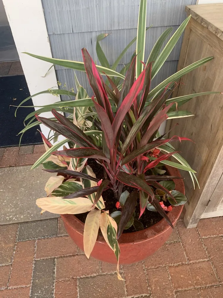 Affordable landscape design in Lynn Haven, FL - Living Interiors Of Bay County