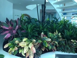 Top-rated residential landscaping for year-round maintenance across Lynn Haven, FL - Living Interiors Of Bay County