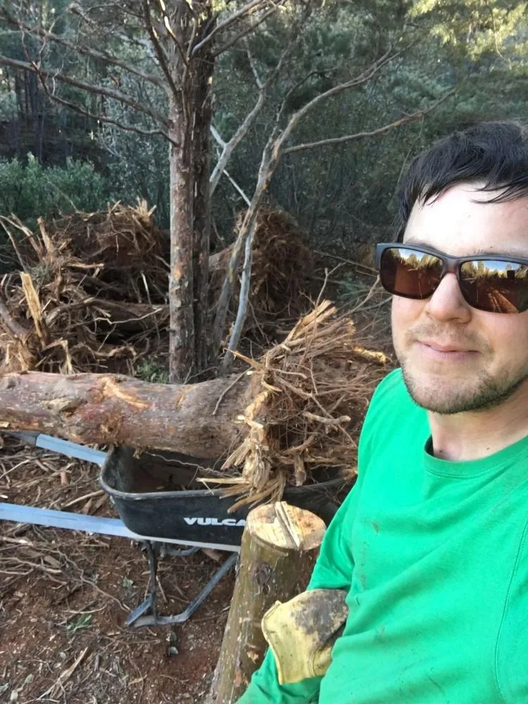 Local yard cleanup service near you in Cottonwood, AZ by Living Landscapes AZ