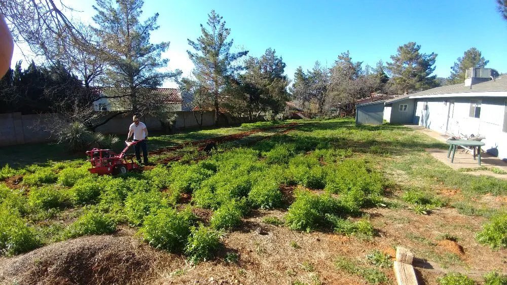 Trusted lawn mowing service for homes in Cottonwood, AZ by Living Landscapes AZ