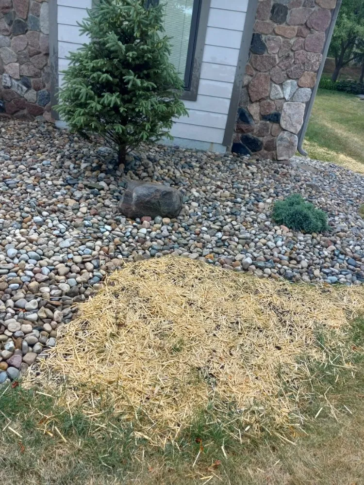 Expert outdoor landscaping for residential properties across Fort Wayne, IN - Living Lavishly Estate Management