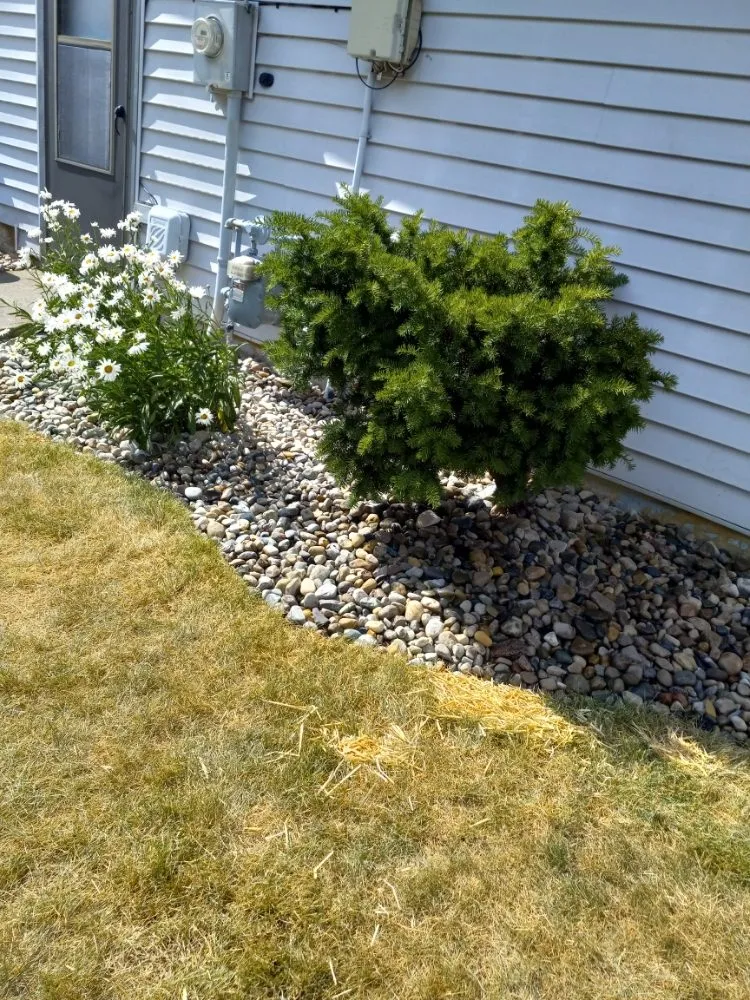 Professional landscaping services experts serving Fort Wayne, IN - Living Lavishly Estate Management