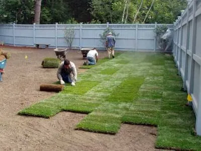 Reliable yard cleanup service for homes in New Hyde Park, NY by Living Life Landscaping