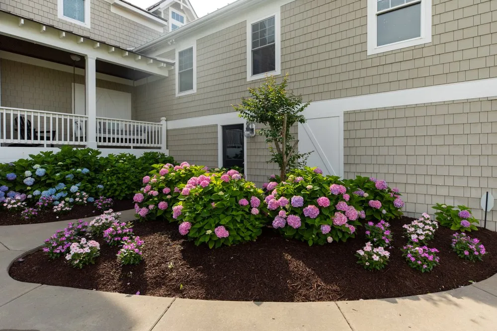 Top-rated yard maintenance with custom design in Powells Point, NC by Living Oaks Landscaping & Tree Services