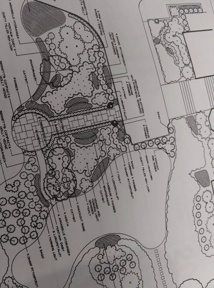 Custom lawn mowing service for residential properties across Powells Point, NC - Living Oaks Landscaping & Tree Services