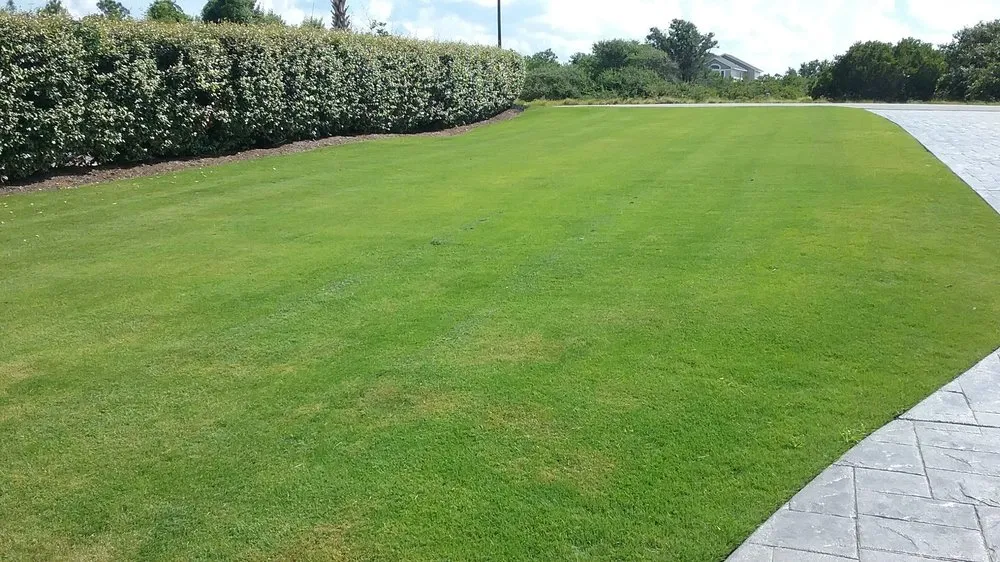 Trusted outdoor landscaping near you across Powells Point, NC - Living Oaks Landscaping & Tree Services