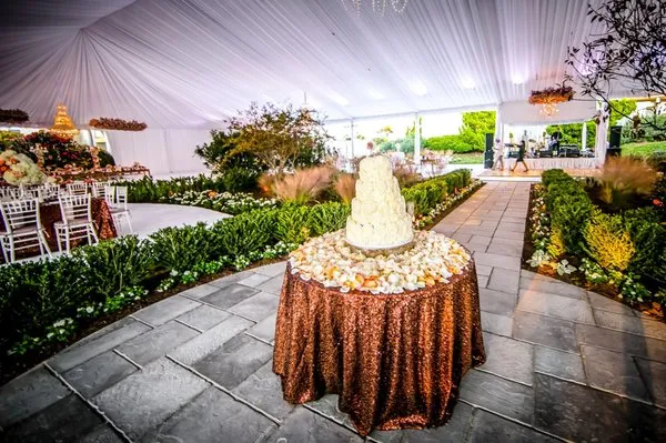 Living Oaks Landscaping & Tree Services Logo