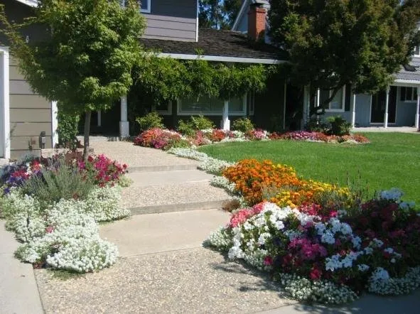 Expert yard maintenance in Grass Valley, CA - Living Outdoors Landscapes
