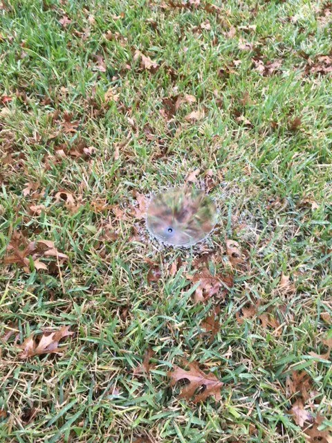 Expert lawn mowing service in Round Rock, TX - Living Proof Sprinkler Co.