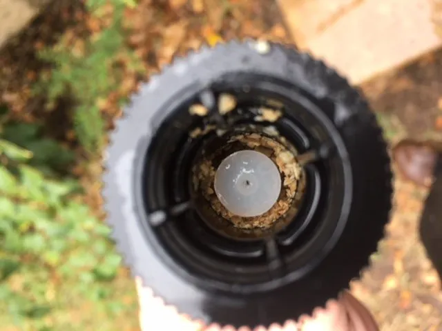 Local lawn care service in Round Rock, TX - Living Proof Sprinkler Co.