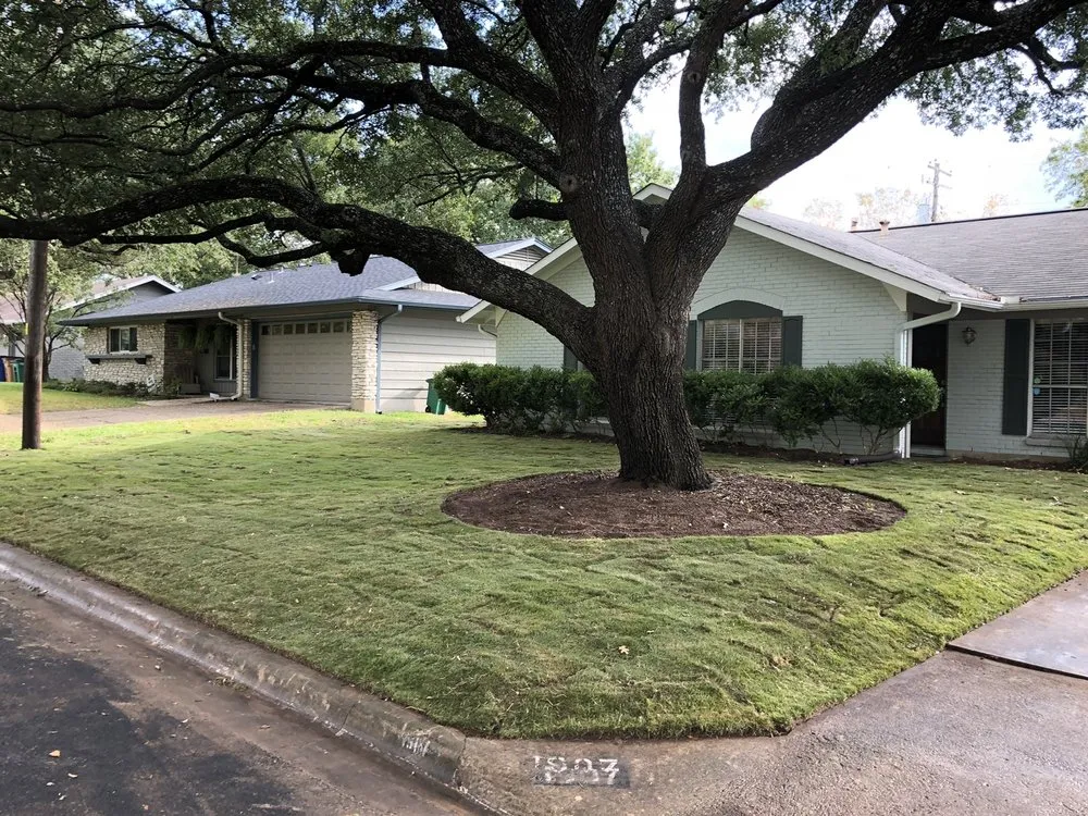 Trusted lawn care service in Round Rock, TX - Living Proof Sprinkler Co.