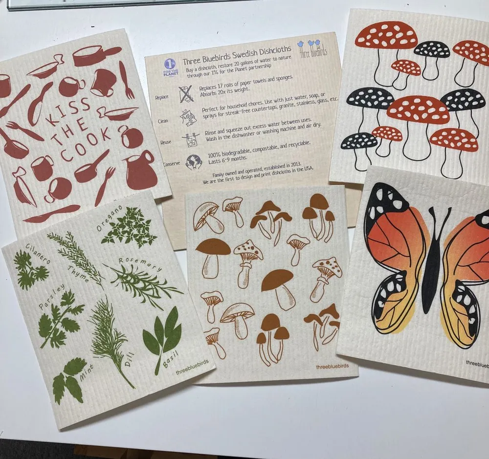 Expert outdoor landscaping for homes in St. Petersburg, FL by Living Roots Eco Design & Plant Nursery