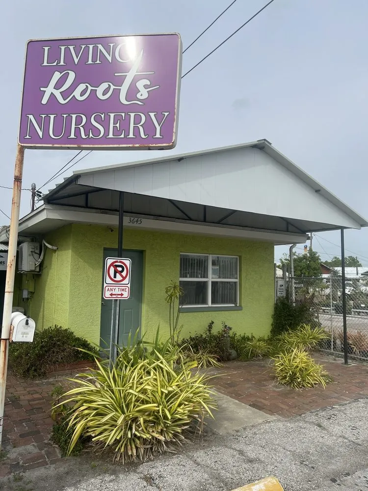 Trusted landscaping services in St. Petersburg, FL - Living Roots Eco Design & Plant Nursery