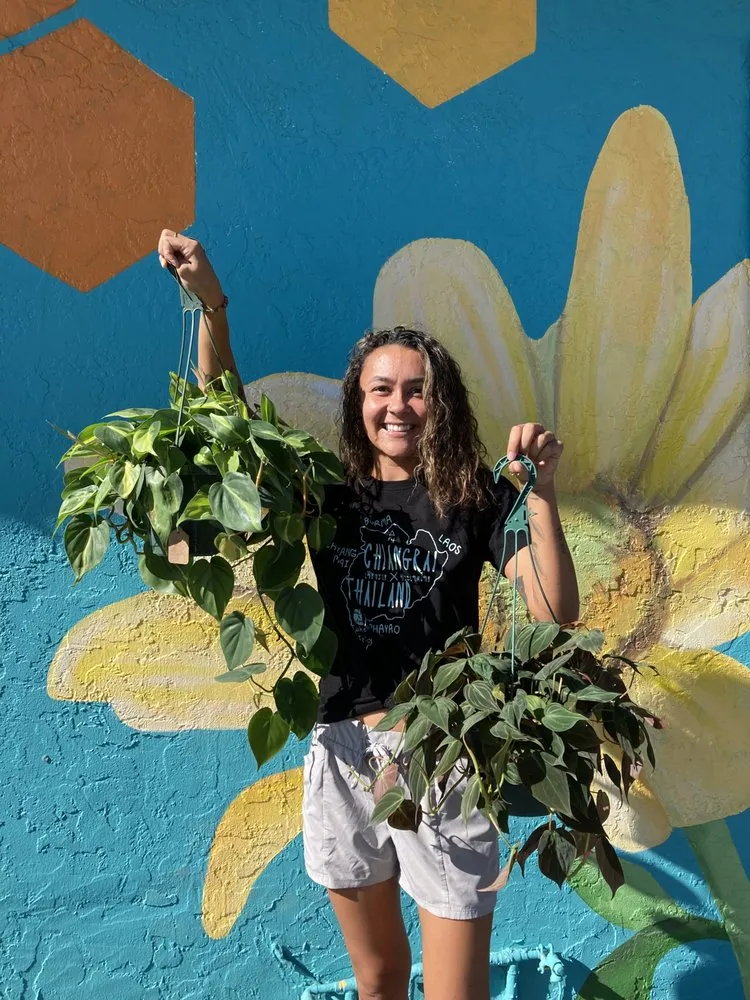 Professional yard cleanup service experts serving St. Petersburg, FL - Living Roots Eco Design & Plant Nursery