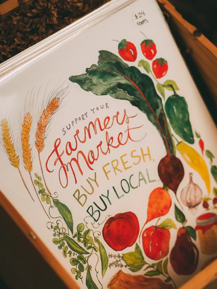 Reliable landscape installation in St. Petersburg, FL by Living Roots Eco Design & Plant Nursery