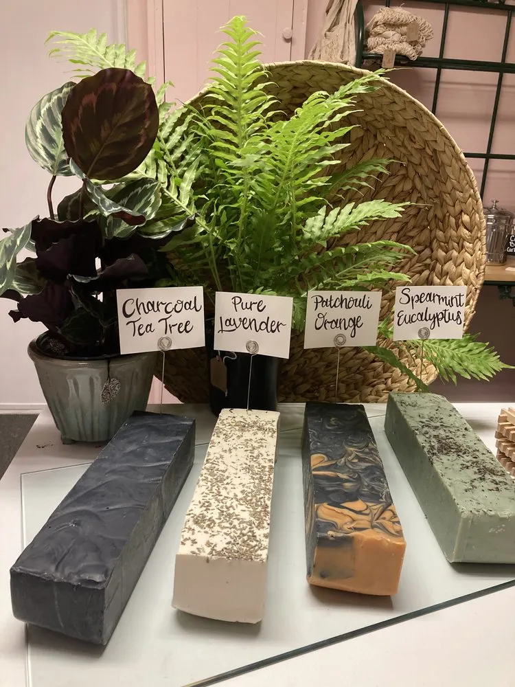 Reliable landscape installation for residential properties in St. Petersburg, FL by Living Roots Eco Design & Plant Nursery