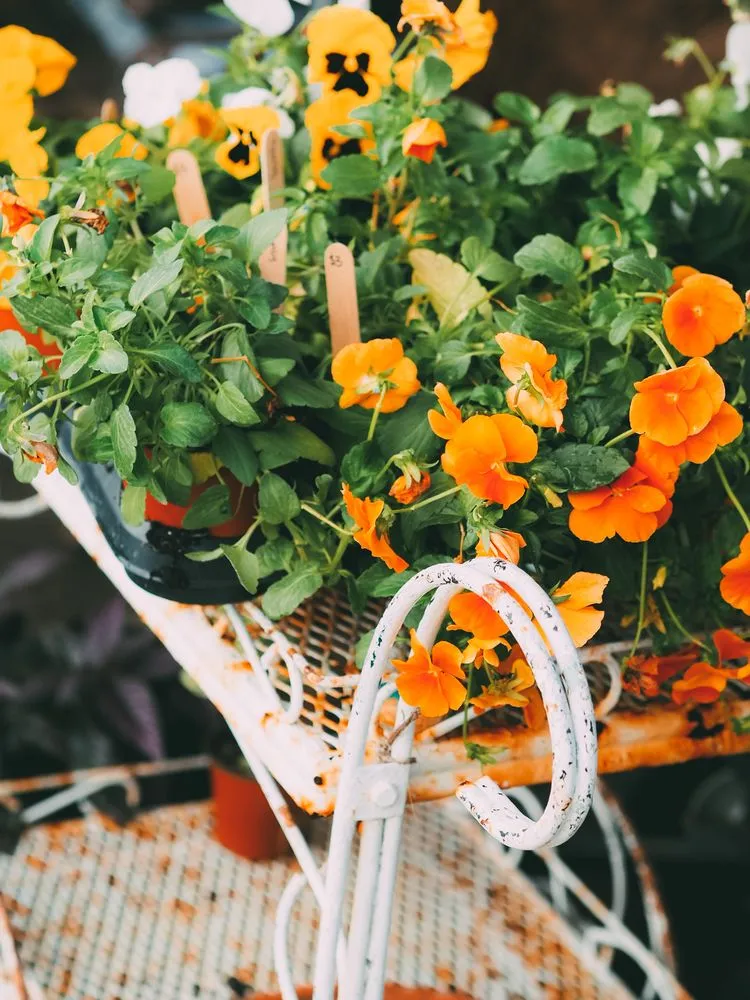 Top-rated landscape design in St. Petersburg, FL - Living Roots Eco Design & Plant Nursery