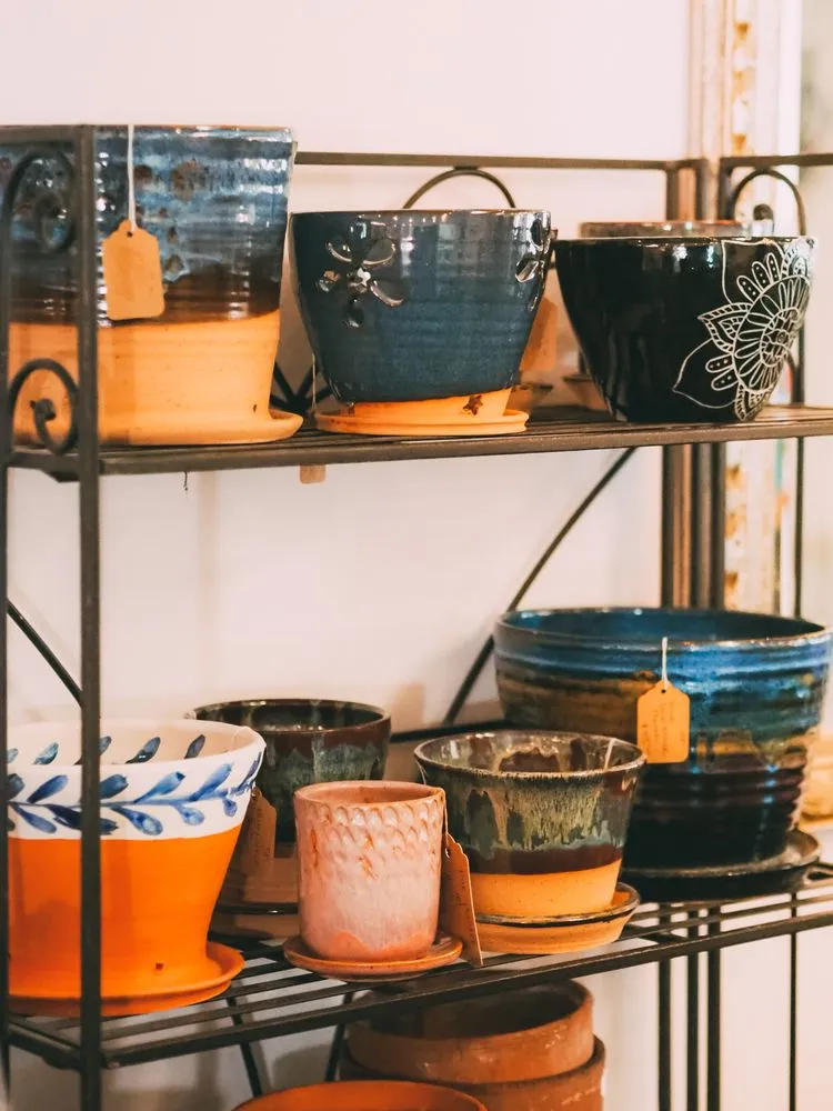 Professional yard cleanup service in St. Petersburg, FL by Living Roots Eco Design & Plant Nursery