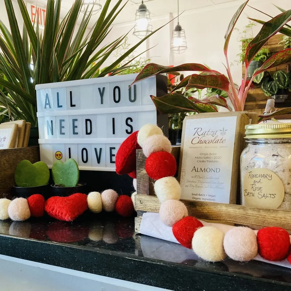 Top-rated landscape installation in St. Petersburg, FL - Living Roots Eco Design & Plant Nursery