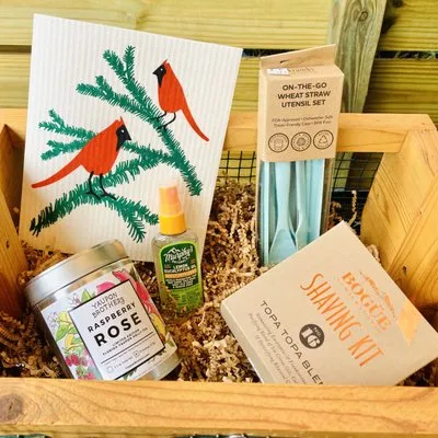 Living Roots Eco Design & Plant Nursery Logo