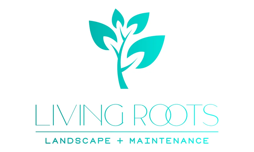 Top-rated landscape design with custom design across Redwood City, CA - Living Roots