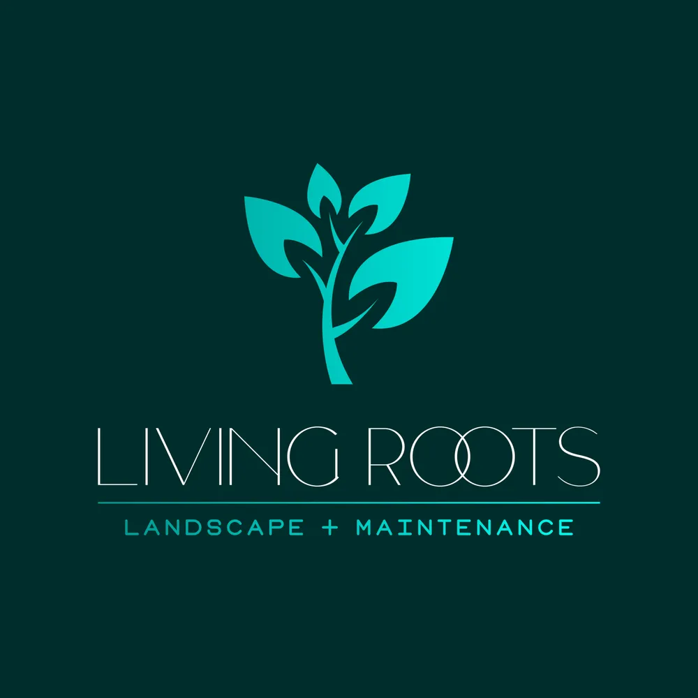 Expert lawn care service experts serving Redwood City, CA - Living Roots