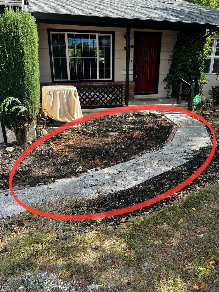 Custom yard cleanup service experts serving Pinole, CA - Living Stone Paver Services