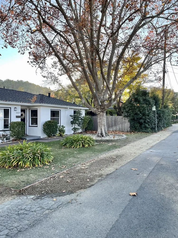 Expert landscape installation in Pinole, CA by Living Stone Paver Services