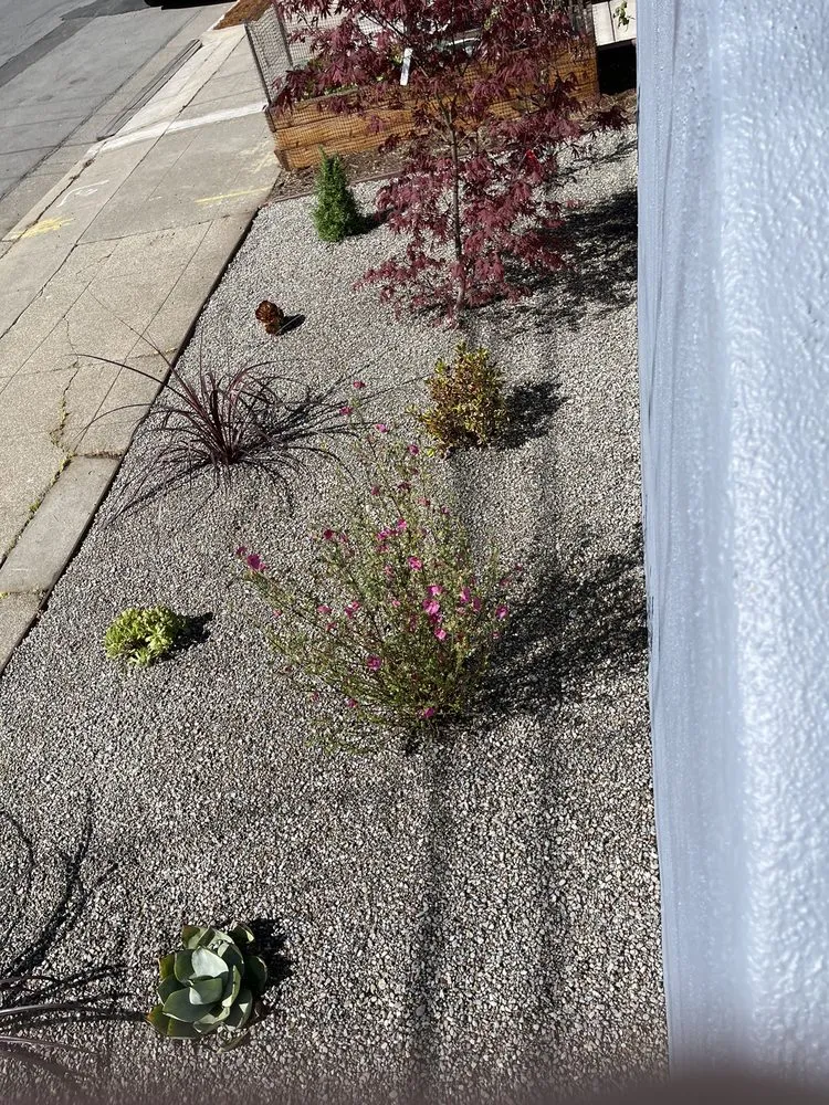 Affordable landscaping services experts serving Pinole, CA - Living Stone Paver Services