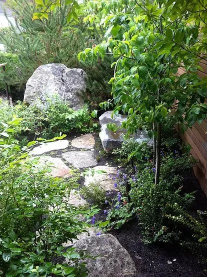 Expert outdoor landscaping in Carmichael, CA by Living Systems Landscaping