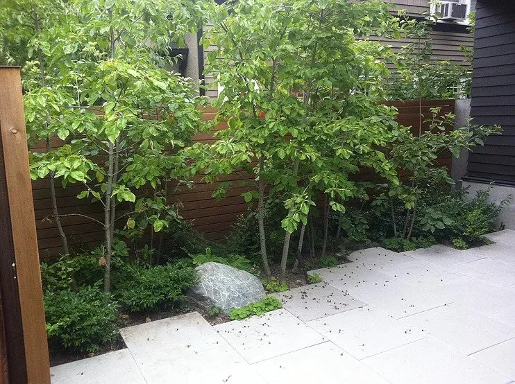 Expert landscape installation in Carmichael, CA by Living Systems Landscaping