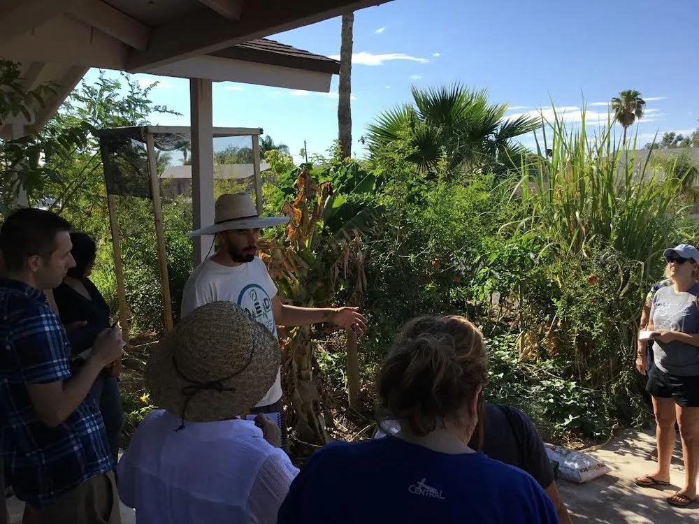 Trusted lawn care service for homes in Carmichael, CA by Living Systems Tree Care