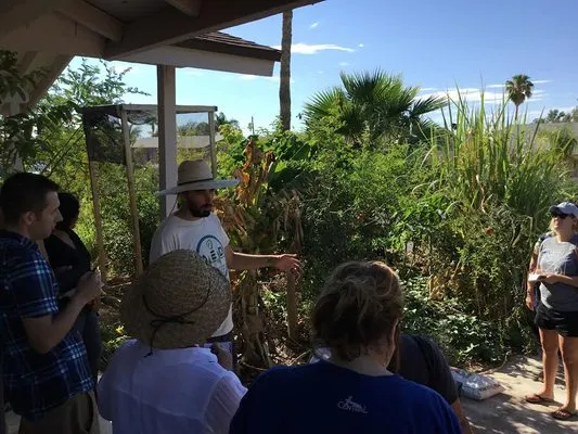 Living Systems Tree Care Logo