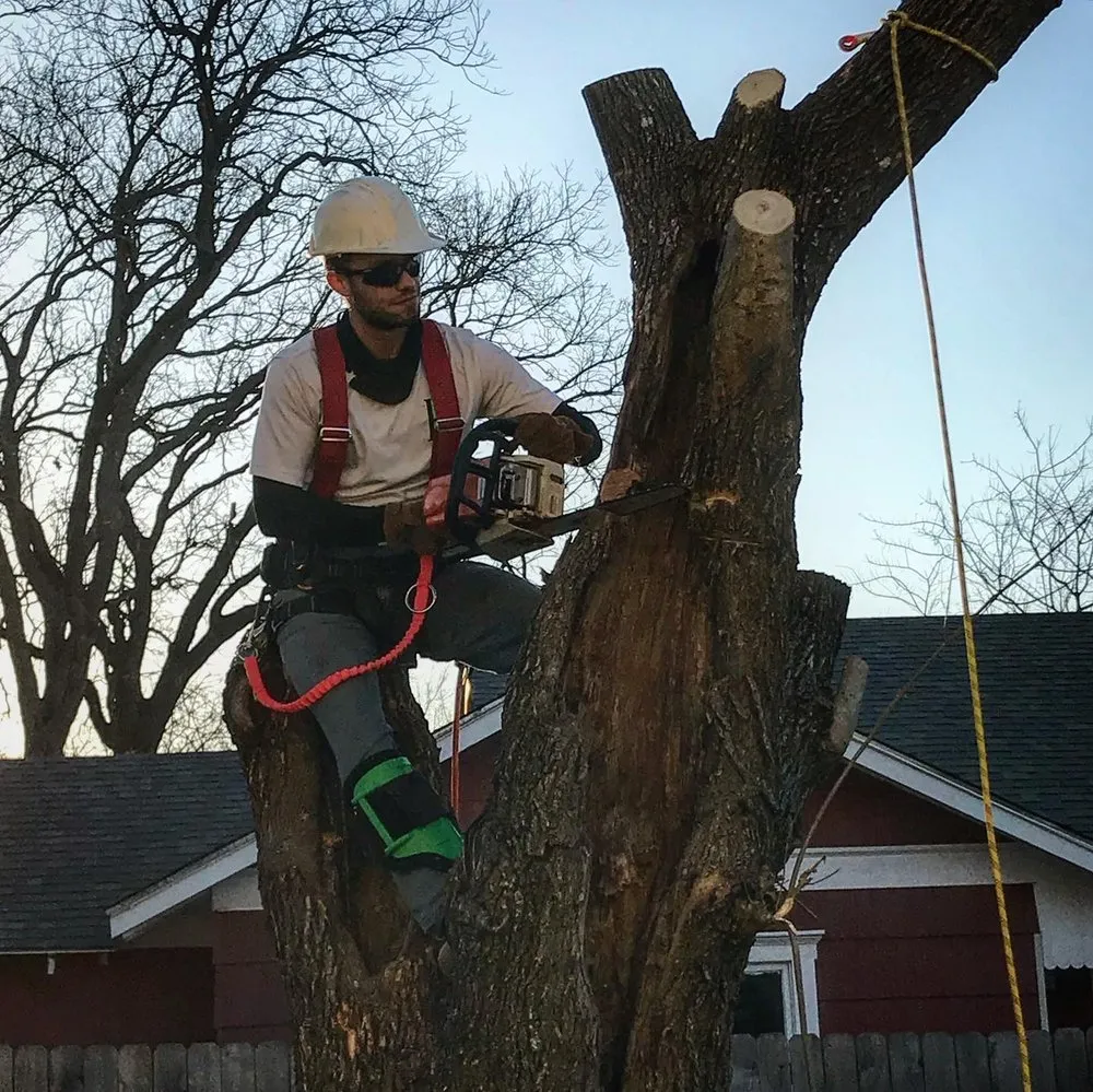 Trusted yard cleanup service near you in Whitney, TX by Living Tree