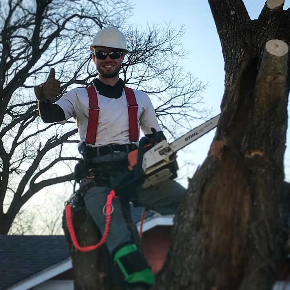 Top-rated lawn care service for beautiful yards in Whitney, TX by Living Tree