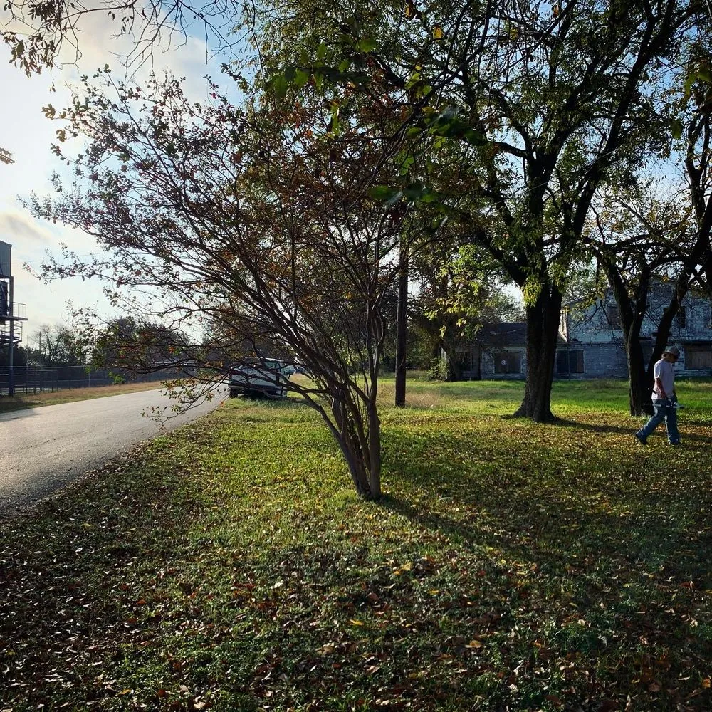 Local landscaping services in Whitney, TX - Living Tree