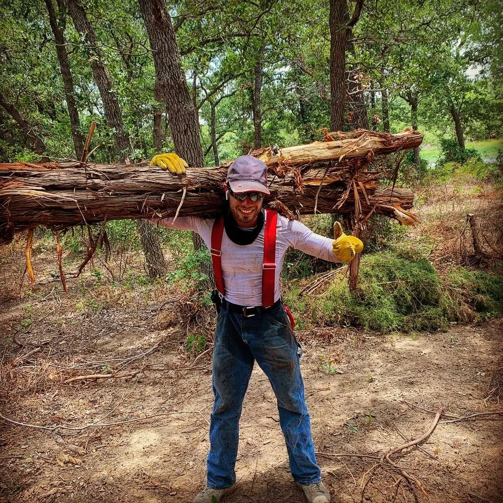 Local yard cleanup service in Whitney, TX - Living Tree