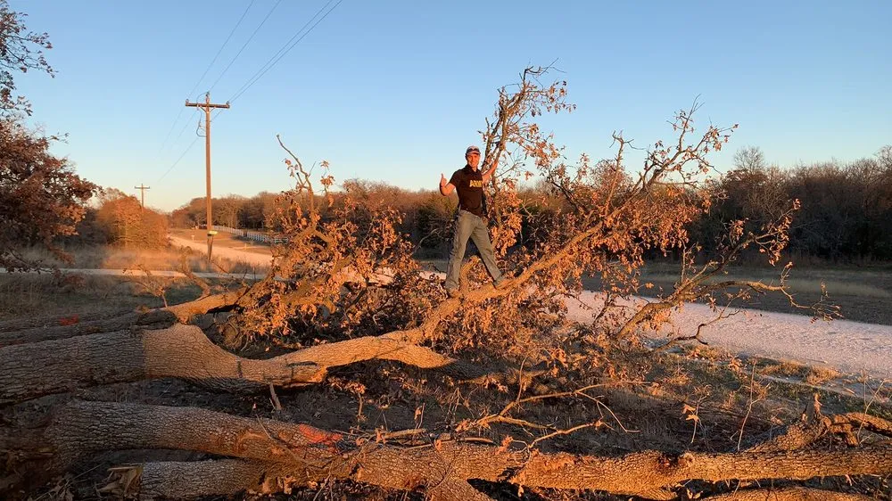 Reliable landscape design near you across Whitney, TX - Living Tree