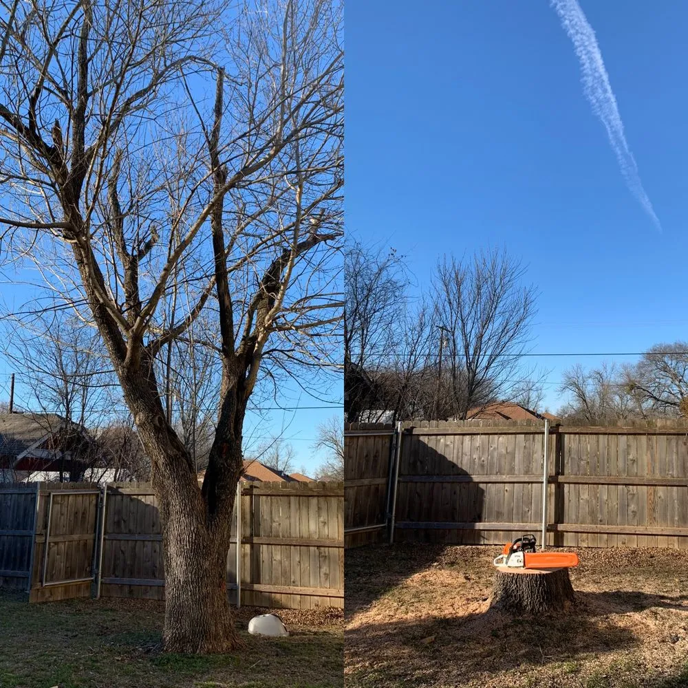 Top-rated residential landscaping for homes in Whitney, TX by Living Tree