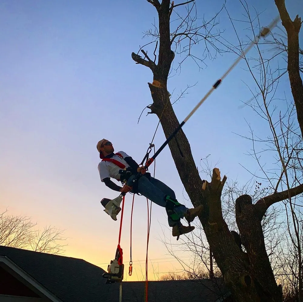 Professional landscape installation for residential properties in Whitney, TX by Living Tree