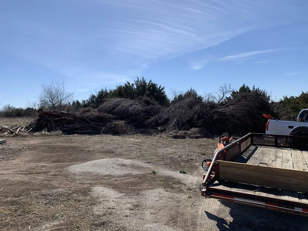 Professional landscape design for residential properties in Whitney, TX by Living Tree