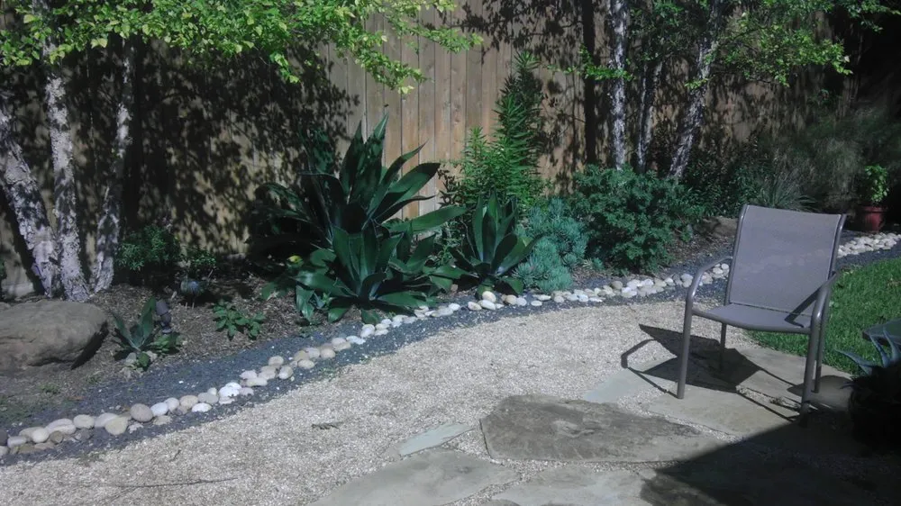 Expert landscaping services for homes across Katy, TX - Living Trees & Shrubs